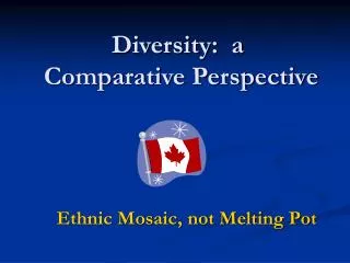 Diversity: a Comparative Perspective