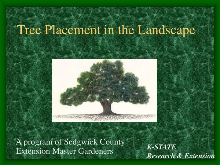 tree placement in the landscape