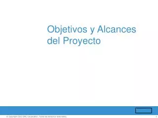 Objetivos y Alcances del Proyecto