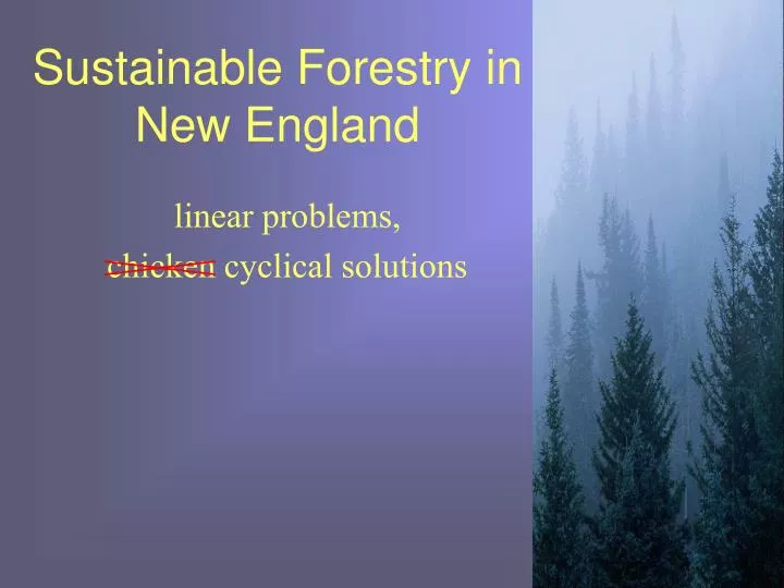 sustainable forestry in new england