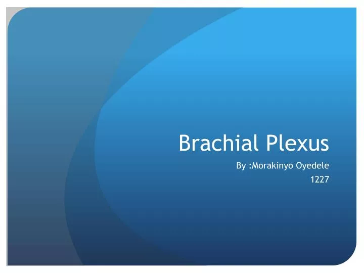 brachial p lexus