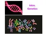 Intro. Genetics - slide 1
