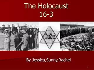 The Holocaust 16-3