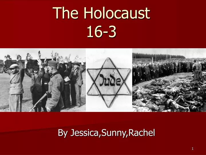 the holocaust 16 3