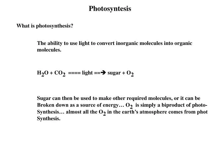 photosyntesis