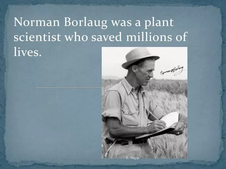 norman borlaug was a plant scientist who saved millions of lives