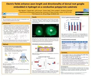 Cell culture for whole dorsal root ganglia (DRG)