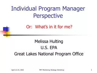 Individual Program Manager Perspective
