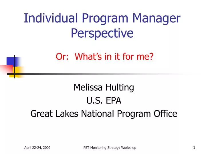 individual program manager perspective