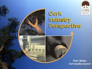 Cork Industry Perspective