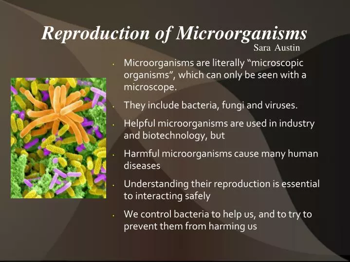 reproduction of microorganisms