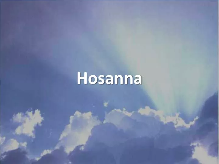 Hosanna - Story Loop