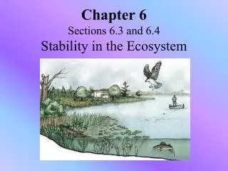 Chapter 6 Sections 6.3 and 6.4 Stability in the Ecosystem