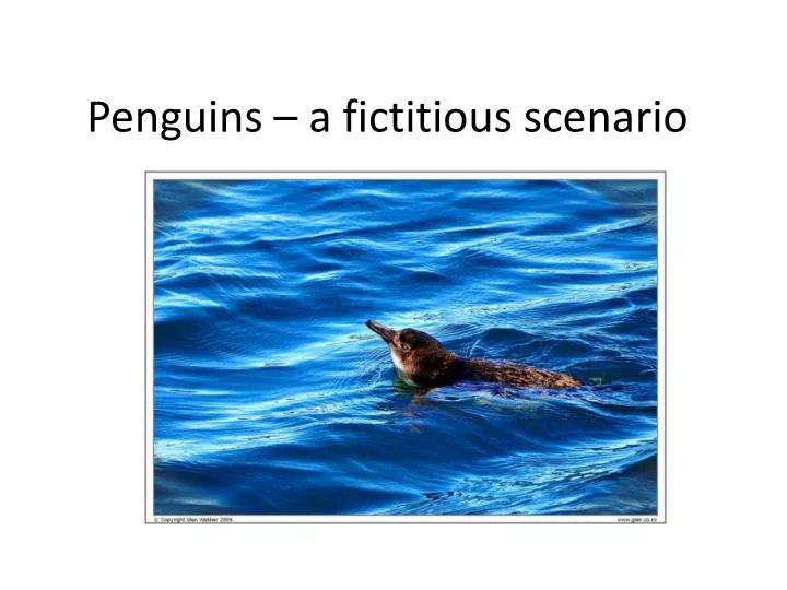 penguins a fictitious scenario