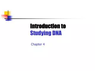 Introduction to Studying DNA