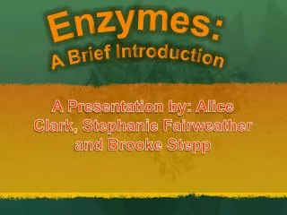 Enzymes: A Brief Introduction