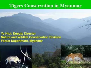 Tigers Conservation in Myanmar