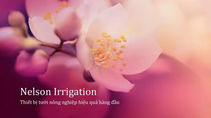 nelson irrigation