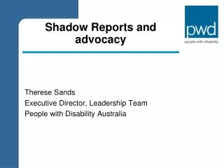 Shadow Reports and advocacy