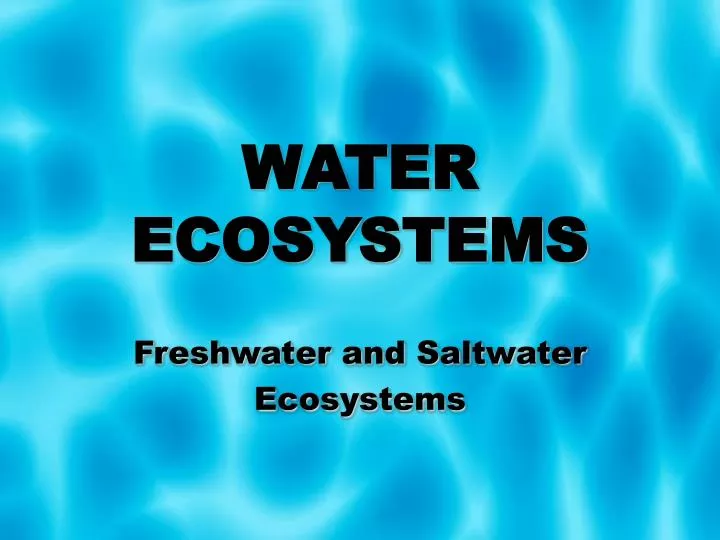 water ecosystems