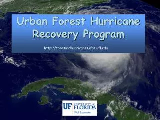 Urban Forest Hurricane Recovery Program