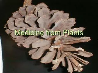 Medicine from Plants