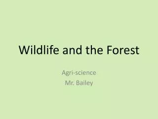 Wildlife and the Forest