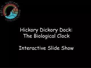 Hickory Dickory Dock: The Biological Clock Interactive Slide Show