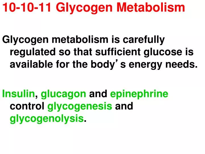 10 10 11 glycogen metabolism