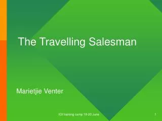 The Travelling Salesman