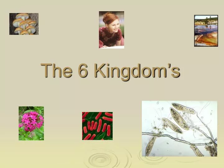 the 6 kingdom s