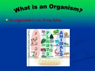 an organism is any living thing