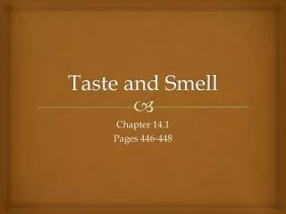 Taste and Smell