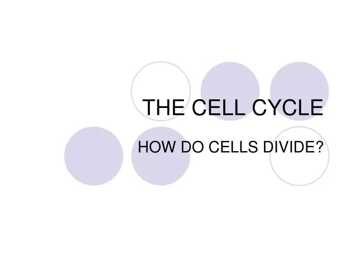 the cell cycle