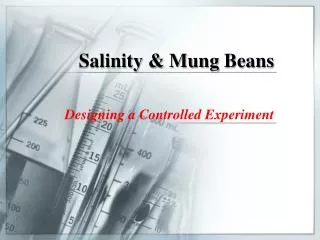 Salinity &amp; Mung Beans