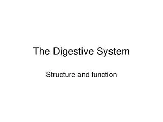 the digestive system