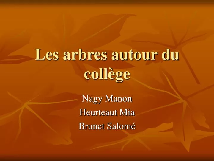 les arbres autour du coll ge