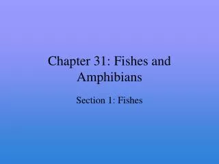 Chapter 31: Fishes and Amphibians