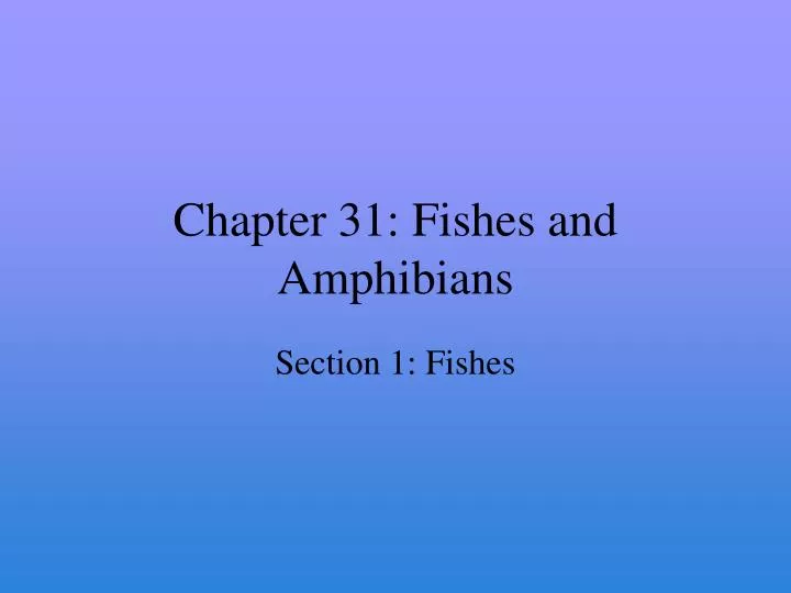 chapter 31 fishes and amphibians