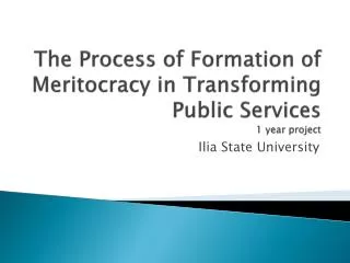 The Process of Formation of Meritocracy in Transforming Public Services 1 year project