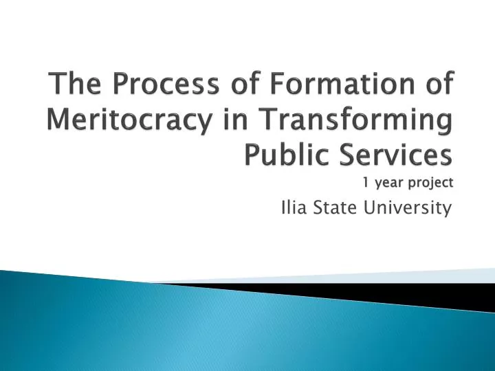 the process of formation of meritocracy in transforming public services 1 year project