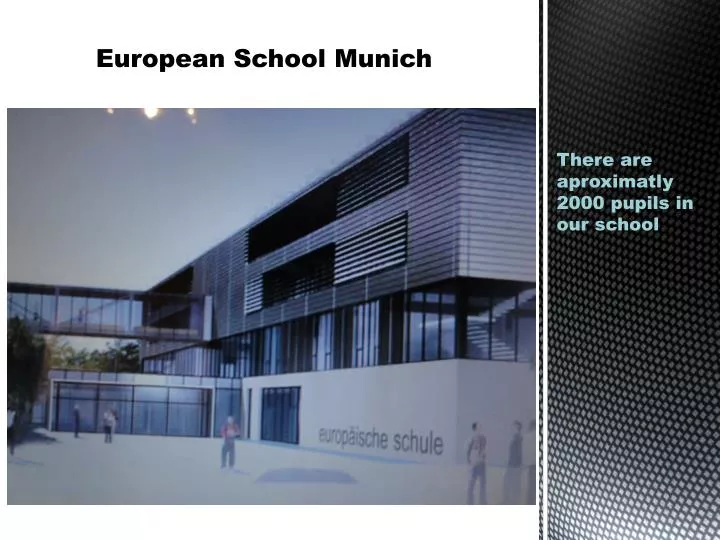 european school munich