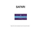 SAFARI - slide 1