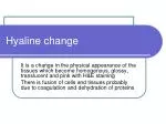 Hyaline change - slide 1