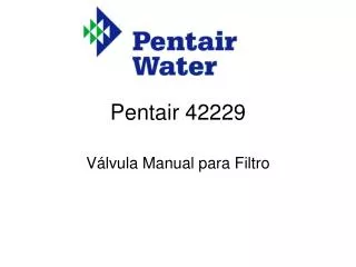 Pentair 42229