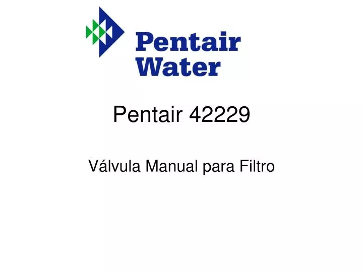 pentair 42229