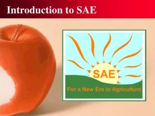 Introduction to SAE