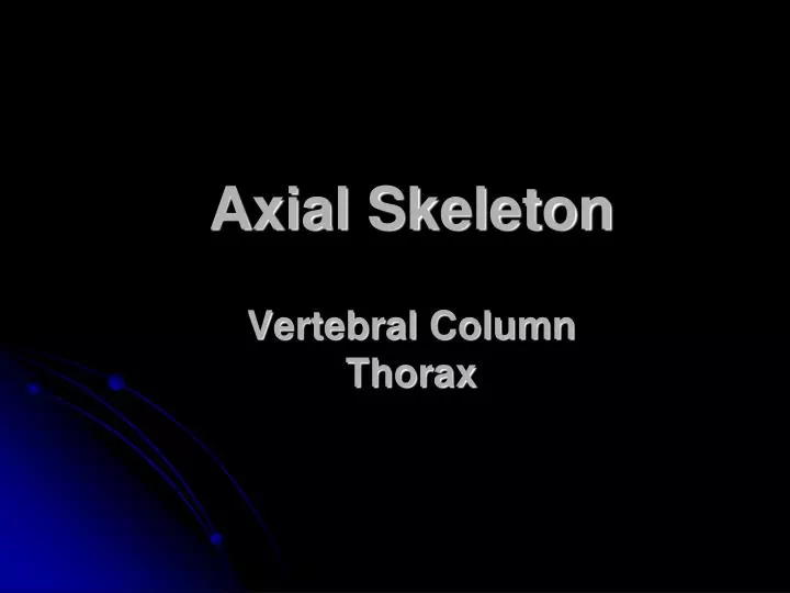 axial skeleton vertebral column thorax