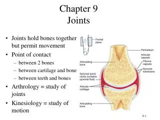 Chapter 9 Joints