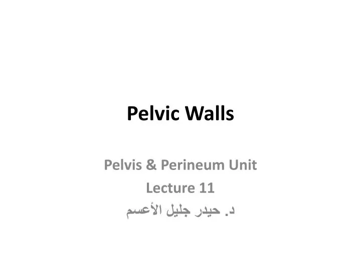 pelvic walls